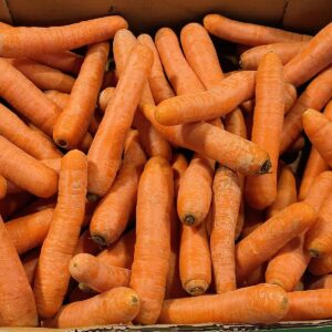 Un tas de carottes orange fraîches et terreuses, empilées dans une caisse en bois ou en carton.