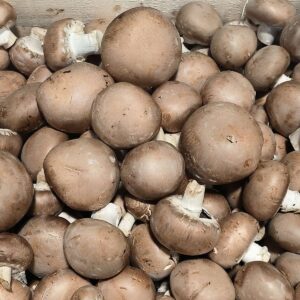 Champignon blond 250g