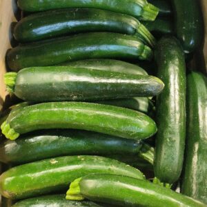 Nombreuses courgettes vertes foncées, fraîchement récoltées et empilées, offrant une texture lisse et brillante.