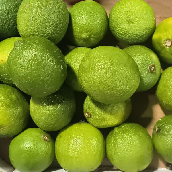 Tas de limes vertes fraîches et juteuses, à la peau rugueuse, empilées en gros plan sur un fond clair.
