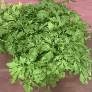 Un grand bouquet de persil plat frais et vert, ses feuilles dentelées reposant sur un fond rose-brun.