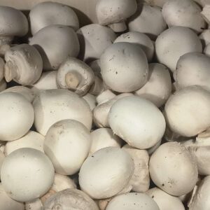 Une abondance de champignons de Paris frais et blancs, empilés de manière serrée, remplissant tout le cadre.