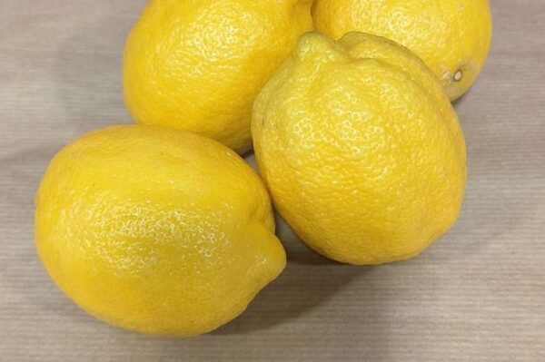Quatre citrons jaunes vifs à la peau texturée, posés sur une surface claire avec des reflets. Agrumes frais.