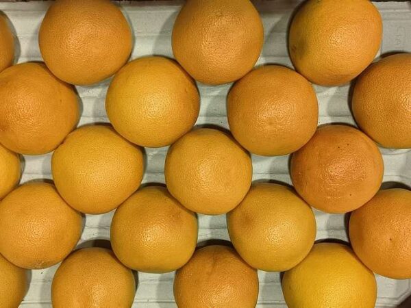 Nombreux pamplemousses frais à la peau orange/jaune, serrés dans un emballage quadrillé. Vue d'en haut.