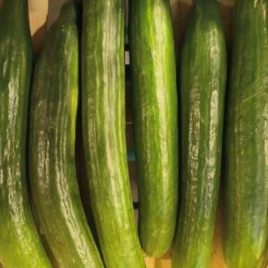 Sept concombres verts frais, longs et lisses, sont rangés verticalement sur une surface en bois clair.