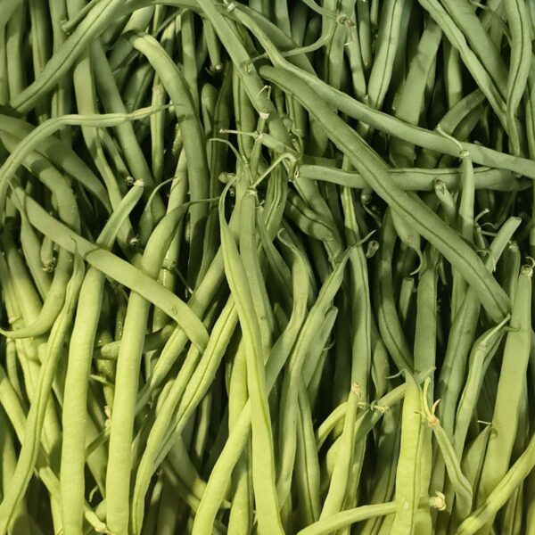 Un tas dense de haricots verts frais, de couleur vert vif et aux formes allongées, prêts à être cuisinés.
