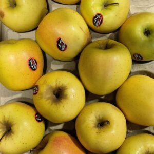 Caisse de pommes jaunes 'SAMUEL & FILS' avec leurs stickers. Fruits frais et lumineux dans un emballage carton moulé, une poire visible.