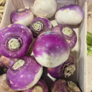 Navets frais aux couleurs vives, violets sur le dessus et blancs en dessous, empilés dans une caisse en bois. Quelques navets sont entièrement blancs. Ils sont ronds et lisses, prêts à être cuisinés.