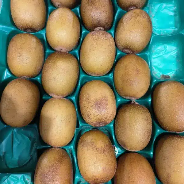 Une vingtaine de kiwis dorés à peau lisse et marron, disposés dans des compartiments verts d'un emballage.