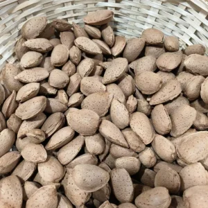 De nombreuses amandes non décortiquées, aux coquilles claires et texturées, sont empilées dans un panier en osier clair.