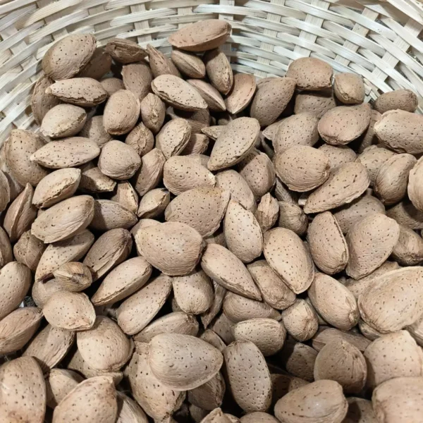 De nombreuses amandes non décortiquées, aux coquilles claires et texturées, sont empilées dans un panier en osier clair.