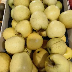 Un cageot rempli de pommes jaunes Golden Delicious fraîchement récoltées, prêtes à la vente dans un marché.
