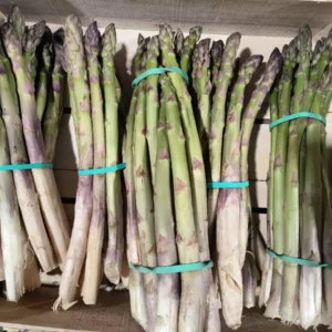 Bottes d'asperges vertes à pointes violettes dans une caisse en bois, liées par des élastiques turquoises.