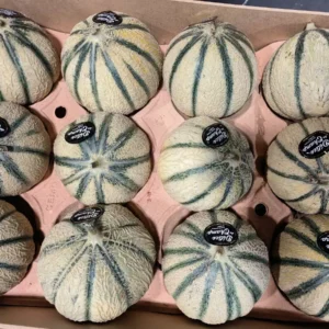 Douze melons verts striés de type Cantaloupe, étiquetés "Délice du Champ", disposés dans un carton de transport beige.