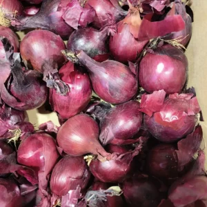 Gros plan sur une grande quantité d'oignons rouges frais, avec des peaux violettes foncées partiellement détachées.