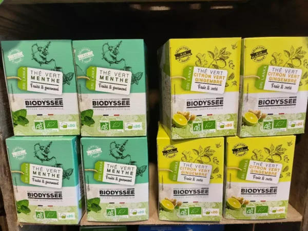 Boîtes de thé vert BIODYSSEE saveurs menthe, citron vert gingembre. Origine Sri Lanka, bio AB, 20 sachets. Fruité, gourmand, frais & zeste.