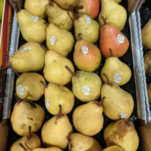 Nombreuses poires jaunes et quelques rouges emballées dans une caisse noire. Des autocollants 'Vergers' et 'Vercelli' sont visibles. 'CHARMATAS' sur la boîte.