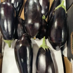 Aubergines violet foncé avec tiges vertes, rangées dans une caisse. Légumes frais prêts à la vente.