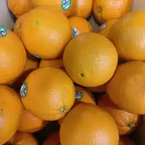 Pile d'oranges fraîches Bollo à la peau texturée, prêtes à être consommées, certaines avec étiquette bleue.